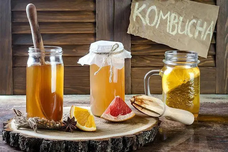 Everything you need to know about Kombucha - Zoh Probiotics