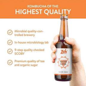 Quality Ginger Lemon Water Kefir by Zoh: Microbial Quality Assurance, 9-Step Checked, Premium Organic Ingredients - Hydrating & Digestive Support, India