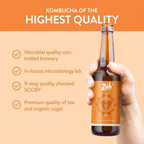 Authentic Kashmiri Kahwa Kombucha by Zoh: Premium In-House Microbiology Lab, Organic Ingredients, 9-Step Quality Check - Traditional Taste, India