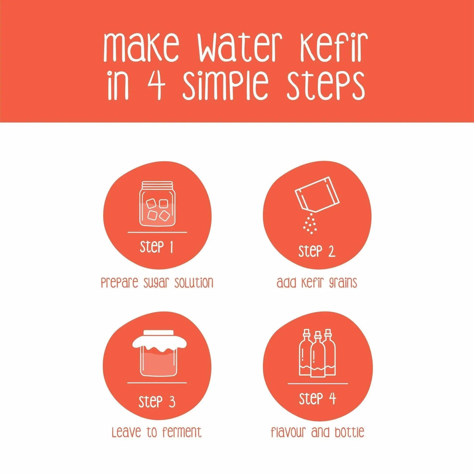 Step-by-step brewing process with Zoh's Water Kefir Grains