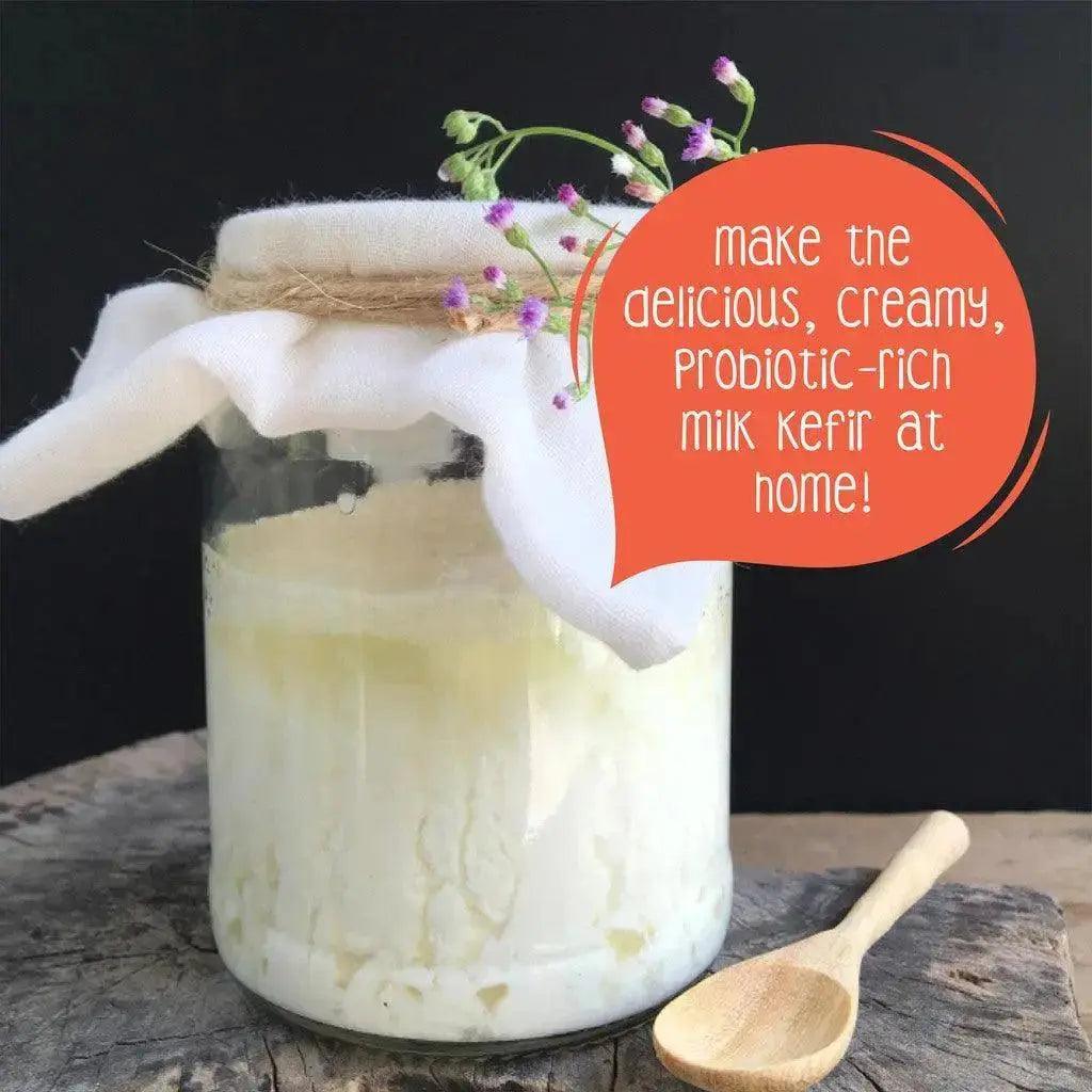 "Craft delicious, creamy, and probiotics-rich milk kefir at home with Zoh Probiotics Milk Kefir Starter Culture."