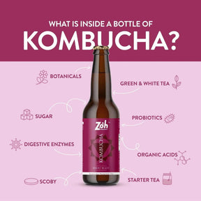 Zoh Probiotics Berry Blast Kombucha: Gut-Boosting Probiotic Drink with Mixed Berries - Zoh Probiotics