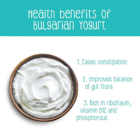 Health Benefits of Bulgarian Yogurt Infographic by Zoh Probiotics