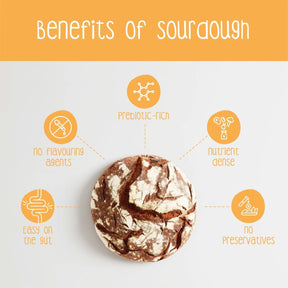 Health Benefits of Gluten Free Sourdough Infographic by Zoh Probiotics