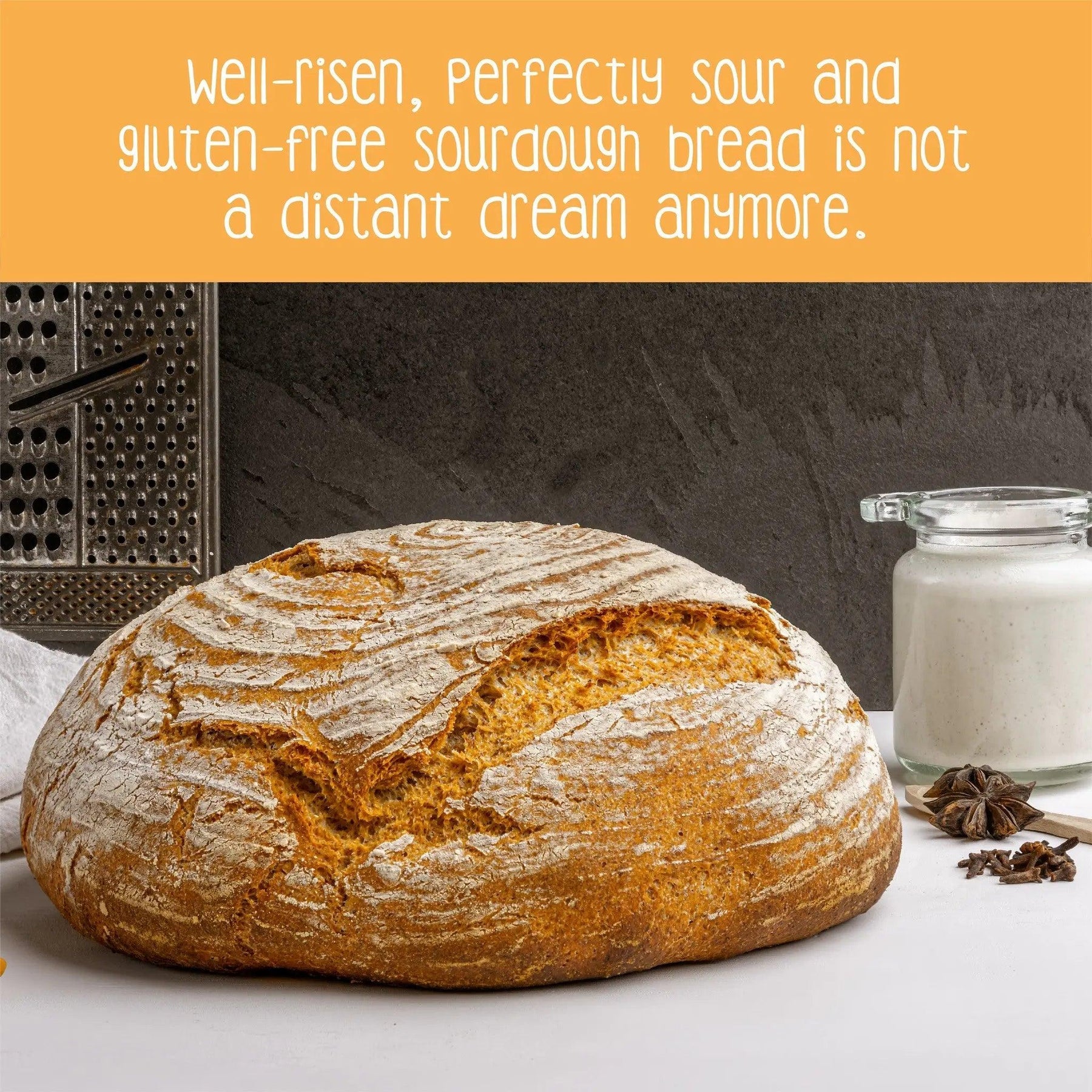 Perfectly Risen, Sour and Gluten Free Sourdough Bread by Zoh Probiotics