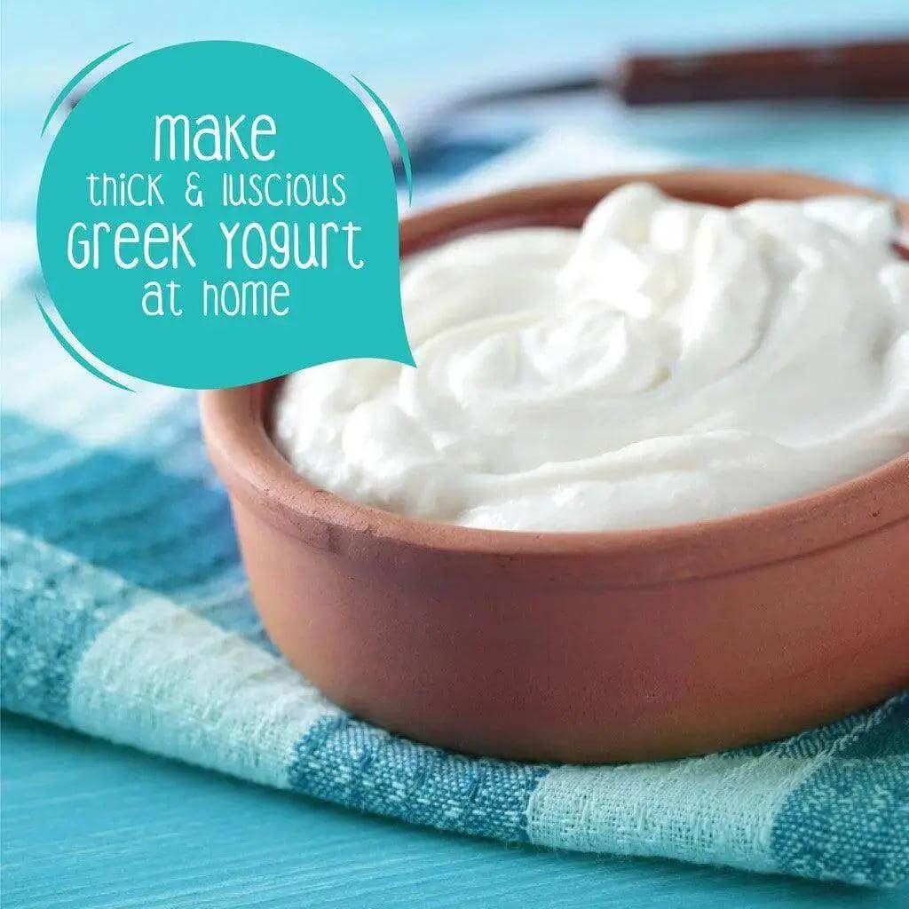 Homemade Thick and Luscious Greek Yogurt with Zoh Probiotics