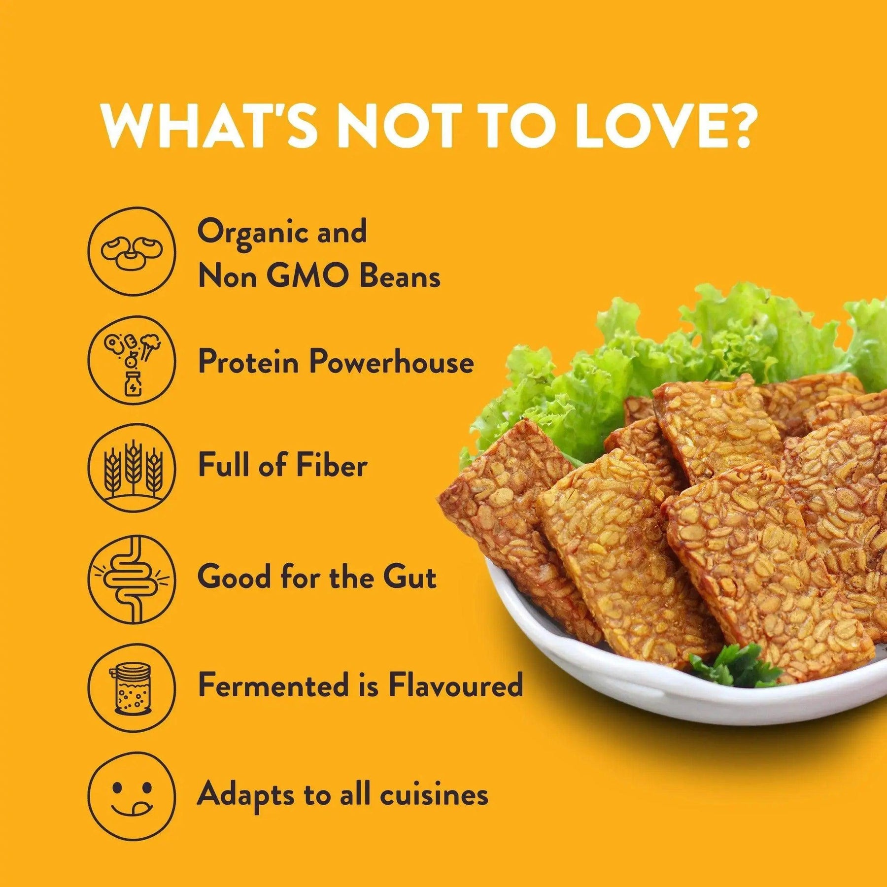 Love bulk tempeh in Mumbai: Zoh Hot and Sweet, organic, non-GMO, protein, fiber, gut-friendly, globally adaptable cuisine