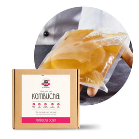 Zoh Probiotics Kombucha SCOBY: Brew Your Own Delicious & Health-Packed Kombucha At Home culturestolovein