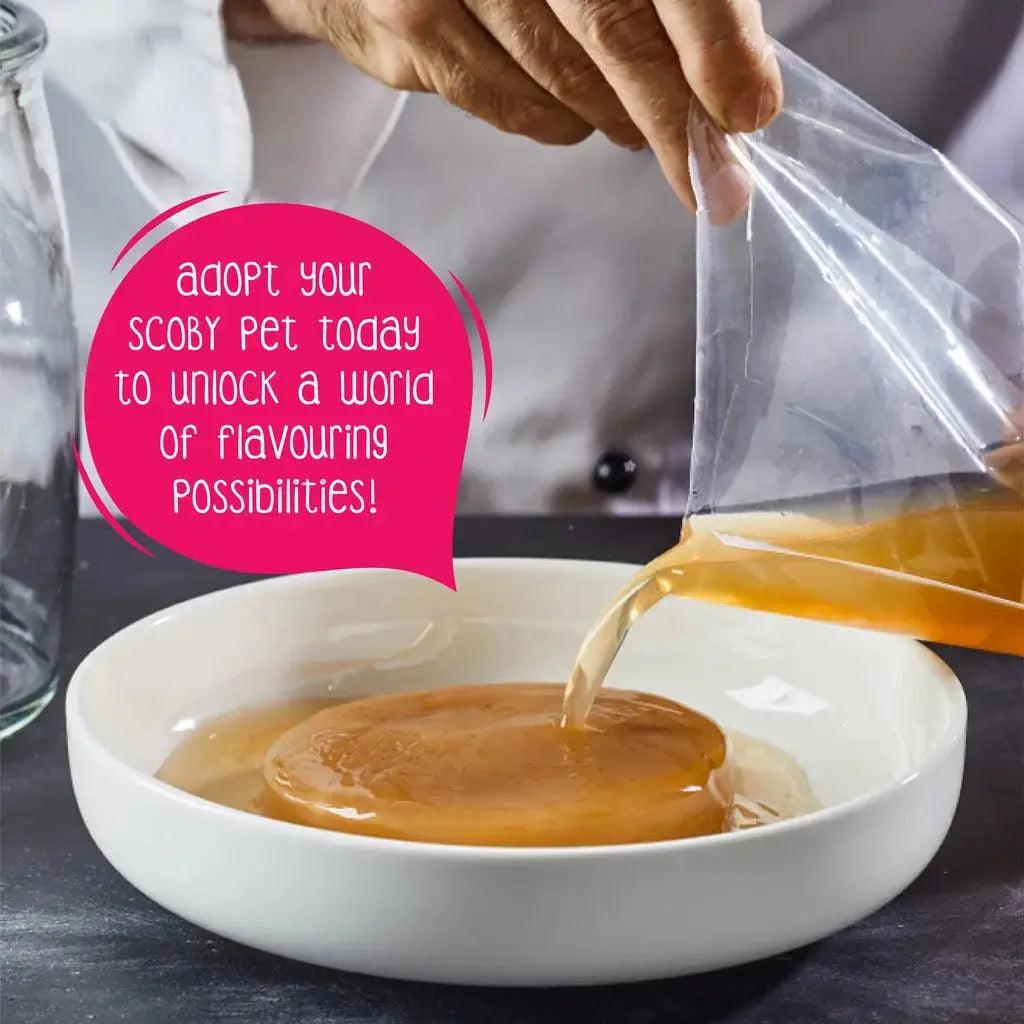 Zoh Probiotics Kombucha SCOBY: Brew Your Own Delicious & Health-Packed Kombucha At Home culturestolovein