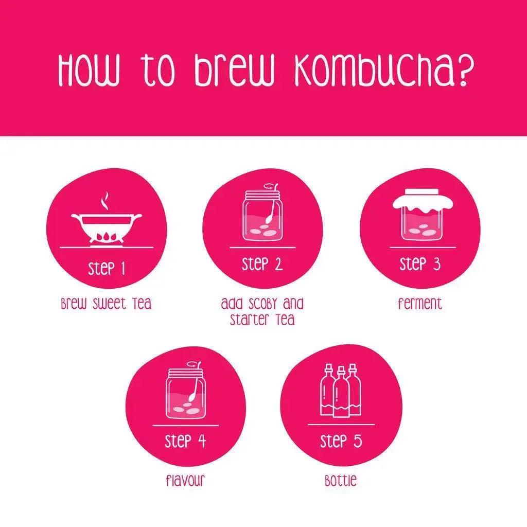 5 Steps to Brew Kombucha Infographic by Zoh Probiotics