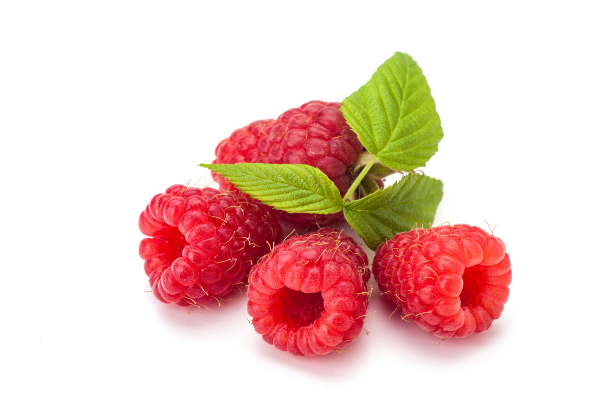 rasberry - Zoh Probiotics